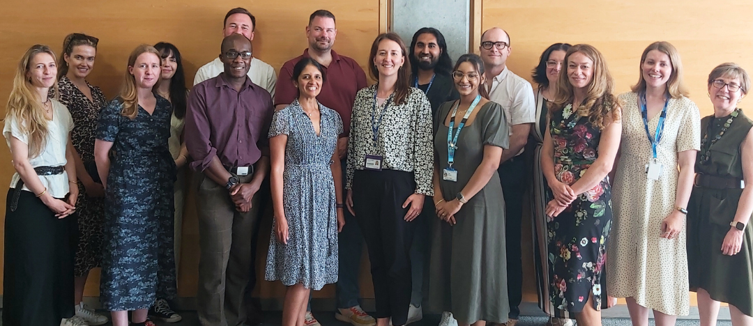 Exploring Human Factors and Ergonomics in Patient Safety Research